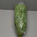 Single Silky Artificial Boston Fern Bush, 43Inch Large Artificial Ferns for Outdoors, Large Faux Ferns Artificial Plants,Suitable for Decorating Office, Living Room Faux Greenery,69Branches (1 Pcs 43"- 69 Leaves)