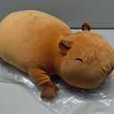 SQEQE Weighted Capybara Plush, Weighted Capybara Stuffed Animal, Cute Plushies Soft Pillow Toy Gift for Kids Adults 23.6 Inch, 3.1 Lbs