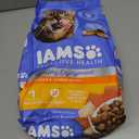 IAMS Healthy Enjoyment Dry Cat Food, Chicken & Salmon Recipe, 6 lb | Vet-recommended, Real Chicken #1 ingredient, Natural fiber & prebiotics, Supports Immune & Digestive Health, Muscle Care (EXP 11/14/26)