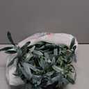 LITBLOOM Lighted Olive Wall Tree with Timer, Lighted Vine Garland with 140 Fairy Lights 3.5FT for Home Window Wall Christmas Spring Decoration Indoor Outdoor