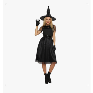 Women's Wicked Witch Costumes Halloween Wizard Cosplay Dress, S