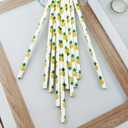 2 x YAOSHENG Premium Disposable Drinking Fruit Paper Straws, Pack 100 Pineapple Paper Straws for Cocktail Party Supplies,Birthday,Bridal/Baby Shower,Juice,Shakes (Pineapple)