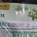 Twinings Pure Peppermint Herbal Tea Individually Wrapped Bags, 100 Count (Pack of 1), Fresh Minty Flavour, Naturally Caffeine-Free, Enjoy Hot or Iced, 100 Teabags, BB Date 12/12/2027