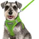 Eagloo Small Dog Harness and Leash Set, Step in Puppy Vest with Breathable Soft Mesh, Walking Reflective Pet Harness for Small Dogs, Green, S (S(Chest:15.1"-16.5"))