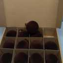 12 Pcs Velvet Christmas Balls Bulk Shatterproof Plastic Christmas Tree Decorations for Decorative Hanging Baubles (12, Coffee, 3.15Inch)