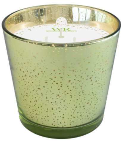 Hannas Mercury Garden Rain Jar Candle, 24 oz