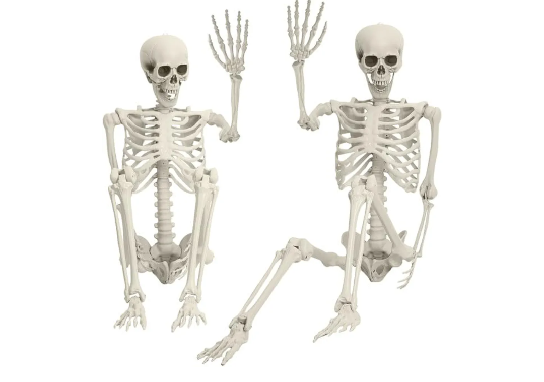 5.4Ft/170cm Posable Halloween Skeleton, Full Body Life Size Skeleton with Movable Joints for Indoor Outdoor Halloween Decorations, Spooky Party Props Decor 1Pc 