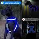 ChalkLit Light Up Dog Harness, No Pull Led Dog Harness Glow-in-The-Dark for Night Walking, USB Rechargeable Lighted Safety Vest for Medium Large Dogs, Adjustable Soft Mesh Fully Illuminated (Blue, XL)