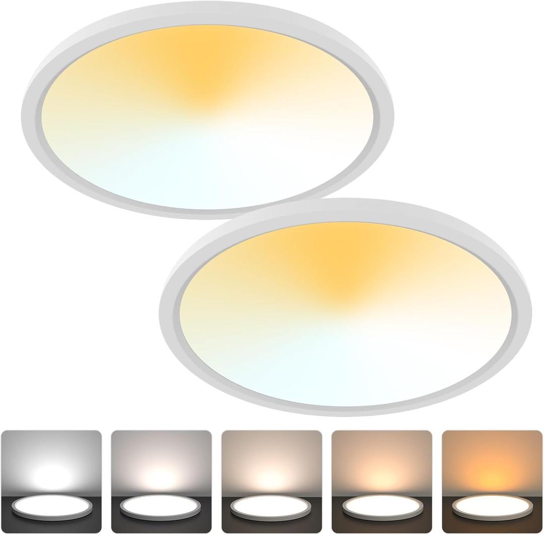 Aialun 16/20/24W Led Ceiling Lights Flush Mount, 0.67" Super Slim 12 Inch Ceiling Lights Dimmable, 2700K-6500K 5 Color Selectable Close to Ceiling Light fixtures for Bathroom, Kitchen, Hallway, 2 Pack