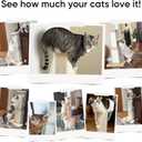 Cat Scratching Post for Large Cats, Cat Scratcher for Indoor Cats Adults, Sturdy Sisal Scratch Post to Protect Furniture, 32 Inch, Beige