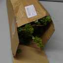 Zeyune 6 Pcs Artificial Branches with Green Buds 40" Evergreen Faux Plastic Plant Stem Picks Sprigs for Vase DIY Home Office Party Indoor and Outdoor Fall Decor, No Vase (Regular Style)