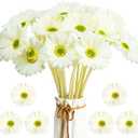 WILLBOND 18 Pieces Artificial Gerbera Daisies Flowers Fake Daisy Faux Flowers Bouquet 15 Inch for Wedding Bridal Bouquet Party Home Kitchen Decor (White)