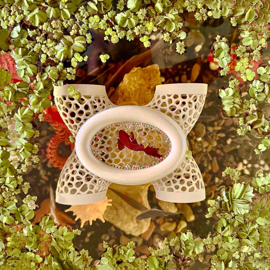 Aquarium Floating Betta Fish Log, Hide Tunnel and Hammock Toy, Small Fish Or Shrimp Hide Resting Cave, Floating Feeder, Feeding Ring, Tank Accessories Decoration (Wood Color)