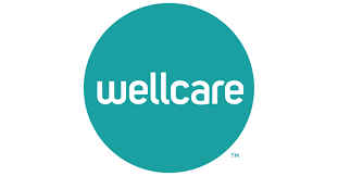 Wellcare Mini Tissues