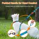 Halypet Cat Harness and Leash Set, 3-in-1 Adjustable & Lightweight, Escape-Proof, Comfortable Soft Kitten Harness for Large Cats, Safe, Easy to Wear, Outdoor Walking Travel, Size: Medium (8-18 lb)