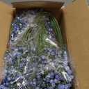 Der Rose 24PCS 21" Blue Babys Breath Artificial Flowers - Dreamy DIY Faux Floral Arrangements for Wedding Arch Party Event Decor & Backdrops