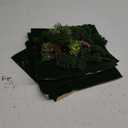 Yilloog 55 Pcs Miniature Colorful Flower Cluster Mini Model Trees Artificial Grass Mat Squares Set 36 Flower Tufts 15 Mixed Train Diorama Trees 4 Garden Craft Grass for Landscape Scenery Sand Table