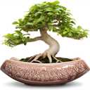 Large Bonsai Pots - 18 Inch Ceramic Succulent Pots with Drainage Hole, Bonsai Planter for Indoor Outdoor Plants, Ceramic Flower Pot, Decorative Plant Pot, Home Decor, Birthday Gifts, Red-Brown