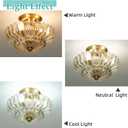 Vintage Glass Flush Mount Ceiling Light, Petal Shape Ceiling Light Fixtures, Elegant Small Flush Chandelier for Hallway Entrance Kitchen Amber Finish