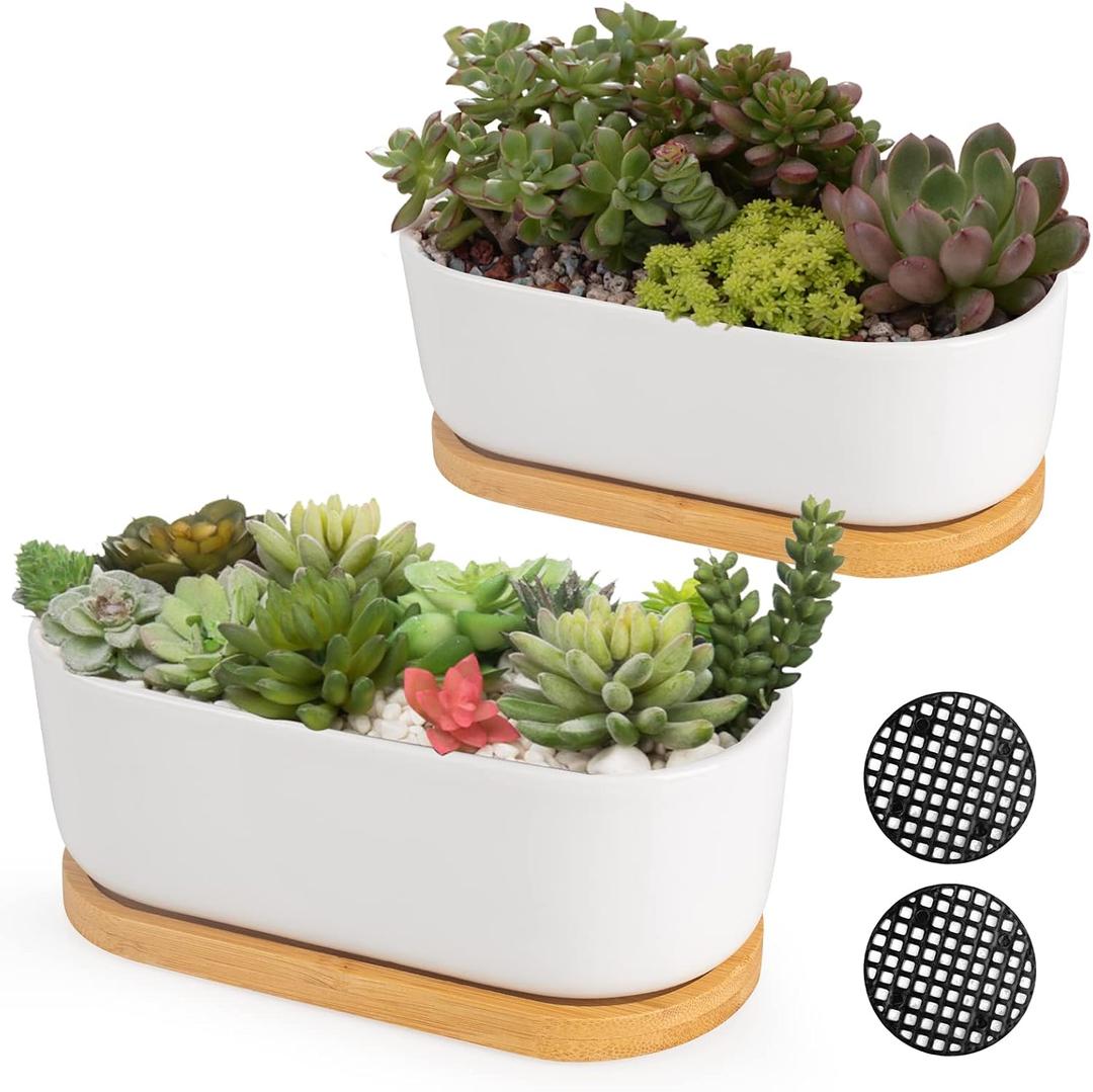 White Ceramic Succulent Plant Pots, Indoor and Outdoor Succulent Planters, Set of 2 Small Cactus Containers, Bonsai Pots, Flower Pots with Drainage Hole and Bamboo Bowl (No Plant)