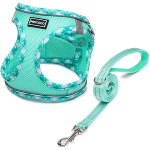 Mercano Soft Mesh Dog Harness and Leash Set, No-Chock Step-in Reflective Breathable Lightweight Easy Walk Vest Harnesses with Safety Buckle for Small Dogs, Cats (Light Green, S) (S (Chest: 12.6"-14.8"))