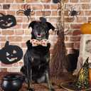 Dog Collar - Thanksgiving Turkey Bowtie Gift, Soft Bow Adjustable Metal Buckle for Small Dogs (Small (Pack of 1))