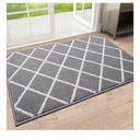 Finchitty Indoor Door Mat, Dirt Resistant and Absorbent, Low-Profile, Non-Slip, Washable Inside Floor Mats for Front Door, Back, and Entrance, 32" x 20", Grey