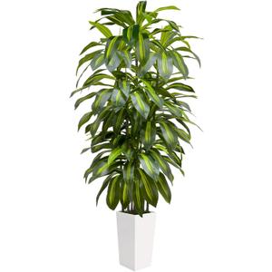 6FT Fake Tall Plant Artificial Dracaena Tree Indoor Faux Plants Indoor Luxury Fake Plants for Living Room Decor Artificial Tree Floor Plant White Planter