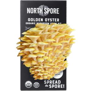 North Spore Organic Golden Oyster Mushroom Spray & Grow Kit (4 lbs) | USDA-Certified Organic, Non-GMO, Beginner-Friendly & Easy to Use | Handmade in Maine, USA (EXP 03/31/26)