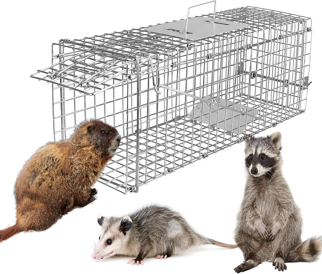 iMounTEK Humane Animal Trap Live Animal Trap Catch Live Animal Rodent Cage Collapsible Galvanized Wire for Kitten Cat Squirrels Rabbits Small Raccoons Groundhogs Armadillos/23.3x7.24x7.72inches (Medium 23.3x7.24x7.72in, Silver)