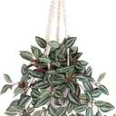 Fake Hanging Plants with Pot, 17" Green Red Artificial Eye Leaves Potted Plant Faux Peperomia Vine Basket Plant for Wall Bedroom Office Indoor Outdoor Home Decor