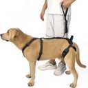 COODEO Professional Dog Sling for Hind Leg Support - Aid for Post-ACL/TPLO Surgery & Senior Dogs, Secure,Breathable & Machine-Washable with Reflective Edging for Safe Walks (Black, M)