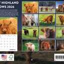 Baby Highland Cow Calendar 2026 Wall Cows Gifts For Cow Lovers Monthly Calender 12 Month | American Made In The USA
