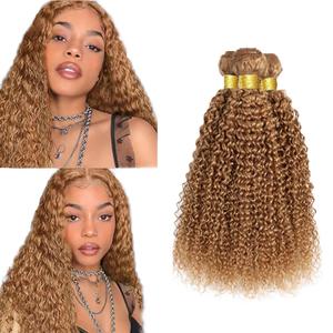 Hair Honey Blonde Bundles Color #27 Kinky Curly Human Hair Bundles Brazilian Unprocessed Virgin Hair 12 14 16 Inch Honey Blonde Curly Bundles Human Hair