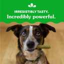 Greenies Original Regular Dental Dog Treats, 36 oz. Pack (36 Treats) (EXP 10/13/26)