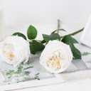 IPOPU White Roses Artificial Flowers,5PCS Real Touch Austin Roses Faux Peony Flowers Stems for Wedding Bouquet Party Home Decor(White)