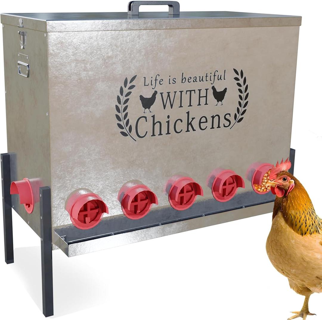 170 LB Automatic Chicken Feeder 12 Port Large Metal Poultry Feeders Box Feeder with Adjustable Height, Locking Lid & Handles,Rustproof Feed Box for Poultry & Backyard Chickens