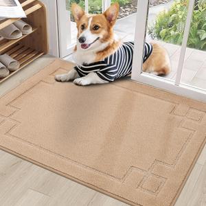 BEQHAUSE Door Mat 24" x 36", Non-Slip Door Mats Indoor Entryway Rugs Washable Low-Profile Absorbent and Stain Resist Floor Mats, Dog Door Mat for Front Back Door, Muddy Wet Shoes & Paws, Beige