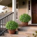 Set of 2 Artificial Boxwood Topiary Ball Trees - UV Resistant Faux Boxwood Potted Plants, Spring Summer Greenery Fake Bushes for Front Door Farmhouse Garden Porch Outdoor Decor