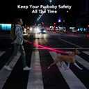 Colaseeme Light Up Dog Leash, LED Pet Leashes USB Rechargeable, Glow Safety Dogs Lights at Night (4FT,Pink)