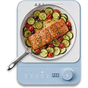 Elite Gourmet Slim Portable Induction Cooktop, 1500W Countertop Burner with 10 Power Levels & Temperature Control (140F465F), Ultra-Slim 2" Design, Digital Touch Controls, Timer & Child Lock