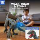 STEAM Life Remote Control Dinosaur Toys for Kids 3-5 4-7 8-12, Large Rechargeable Velociraptor RC Dino with Walking, Lights & Sounds, Realistic Jurassic Toy Birthday Gifts for Boys Girls