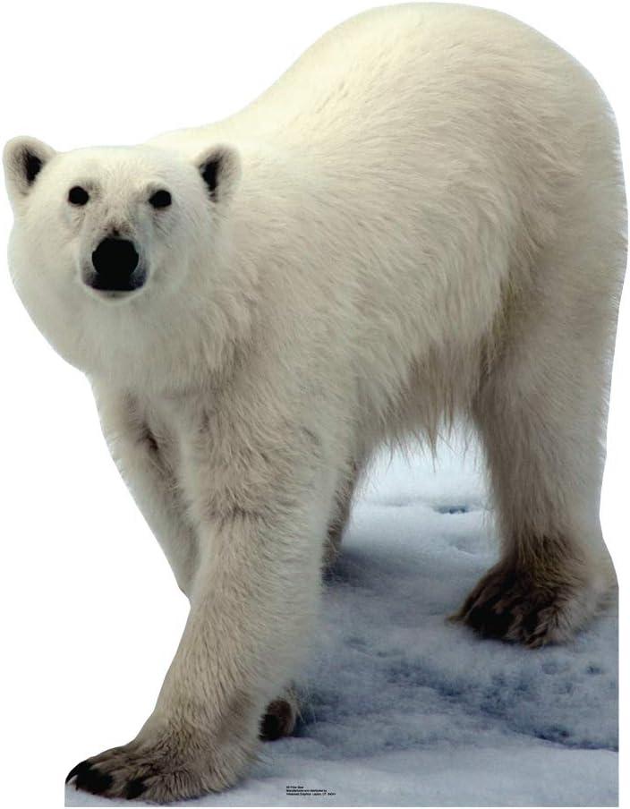 Cardboard People Polar Bear Life Size Cardboard Cutout Standup