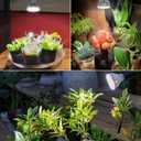 Grow Light Bulbs, A15 7W Plant Light Bulb for Indoor Growing, High PPFD, Full Spectrum, 60W Equivalent, E26 Base, LED Grow Lights for Indoor Plants, Seed Starting 3pack