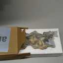 Peohud Resin Mushroom Decor, Vintage Cottagecore Mushroom Sculpture Hanging Art for Wall, Rustic Farmhouse Kitchen Bedroom Living Room Office Home Decor, Fantasy Woodland Gift