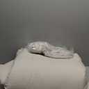 Bedsure Queen Size Comforter Set, Beige Soft Prewashed Bedding for All Seasons, 7 Pieces Warm Winter Down Alternative Bed Set, Fluffy Bed in a Bag with Sheets, Pillowcases & Shams (Queen(90"x90"))