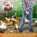 Extra Large Chicken Poop Scooper  15'' Wide Stainless Steel Litter Cleaner, 5-in-1 Adjustable Handle (37-77 Inch), for Chicken Coops, Poultry Barns, Durable Farm & Outdoor Tool
