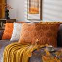 Pumpkin Fall Decorative Throw Pillow Covers 20"x20", Set of 2 Light Gold Soft Faux Fur Pillow Covers for Autumn Harvest, Fluffy Plush Accent Pillow Cases for Farmhouse Couch Cushion Covers