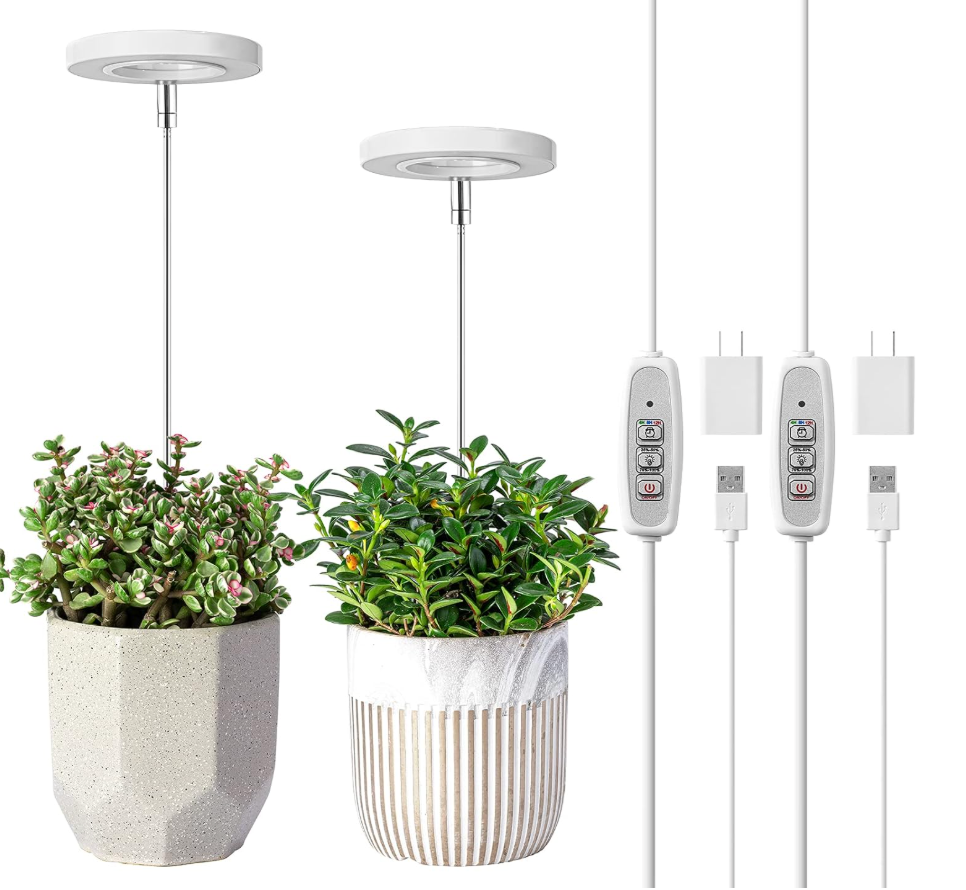 LORDEM Grow Light, Full Spectrum LED Plant Light for Indoor Plants, Height Adjustable Growing Lamp with Auto On/Off Timer 4H/8H/12H, 4 Dimmable Brightness, Ideal for Home Desk Plant Lighting