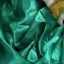 Princess Adult Women Coronation Dress Costume Cosplay (Green, M)